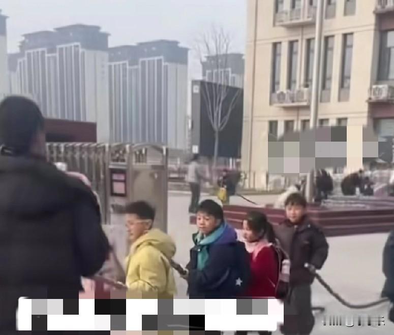 1月30日，河南滑县道口第二完全小学的孩子们，放假离校时每人拖着一根甘蔗走出小学