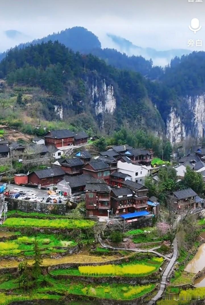 我认为应该