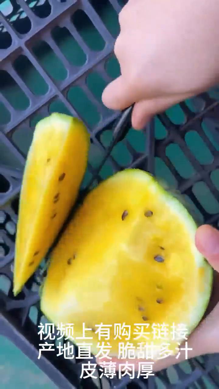 特小凤冰淇凌西瓜。
自家种的特小凤西瓜，早上摘下午发。视频上有购买链接，产地直发