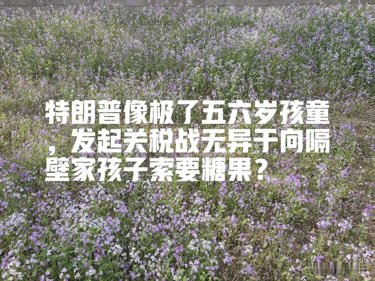 咱村东头老王家那小孙子，今年五岁半，撒泼打滚要糖果的架势，跟特朗普发动的关税战简