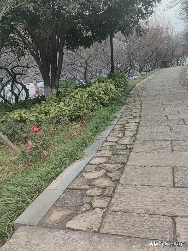 下联，请雅对 嘿，看到“山青水净”这个上联，瞬间来了兴致。对联这玩意儿，讲究个对