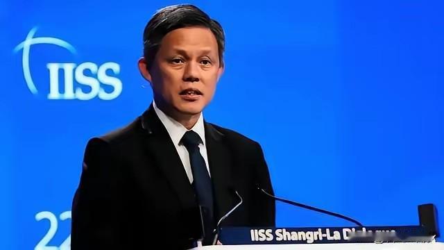 新加坡防长这次说得够直白，一句“内病外治”简直是撕开了不少人的遮羞布。

“内病