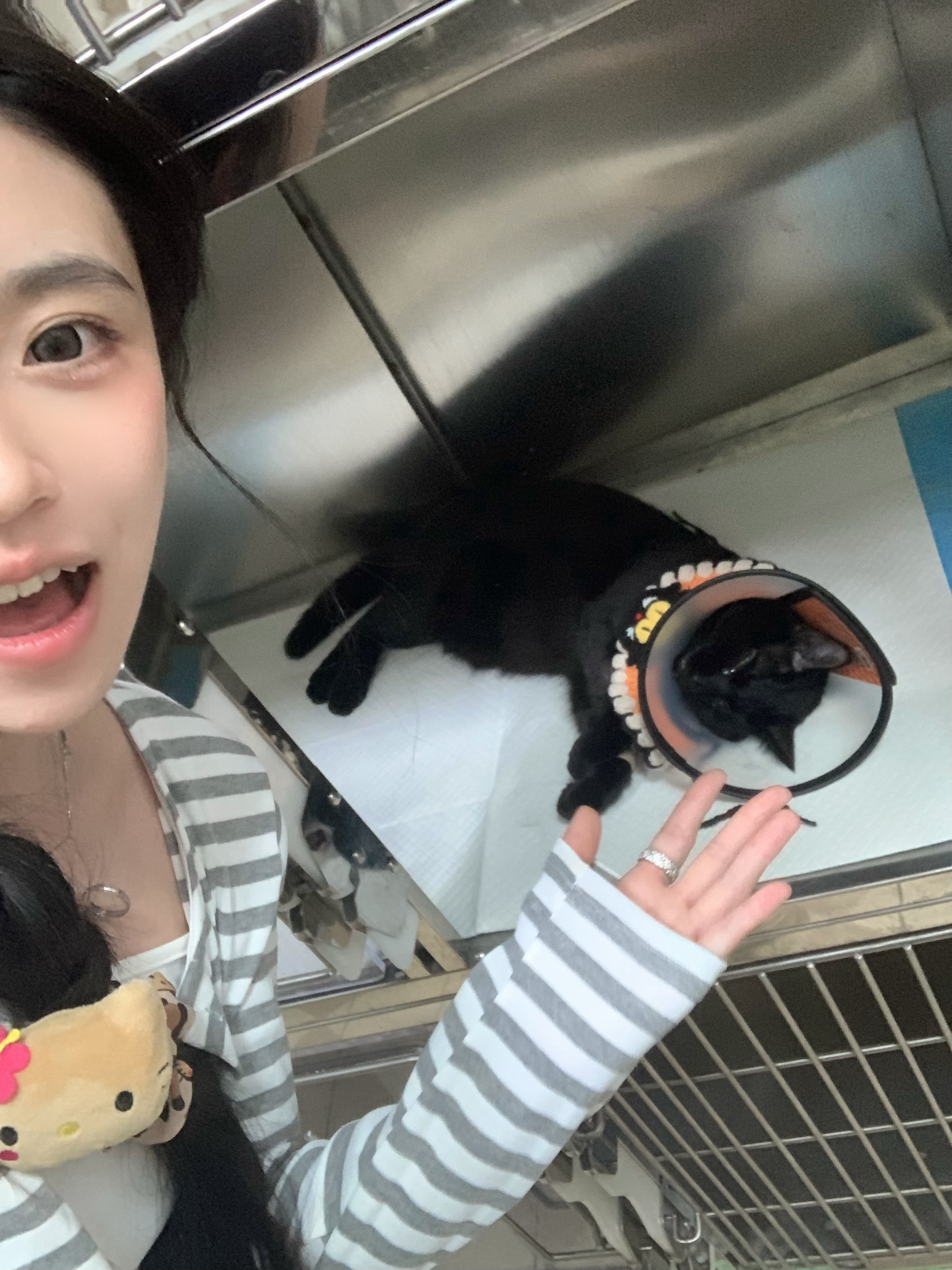 哇之新生 