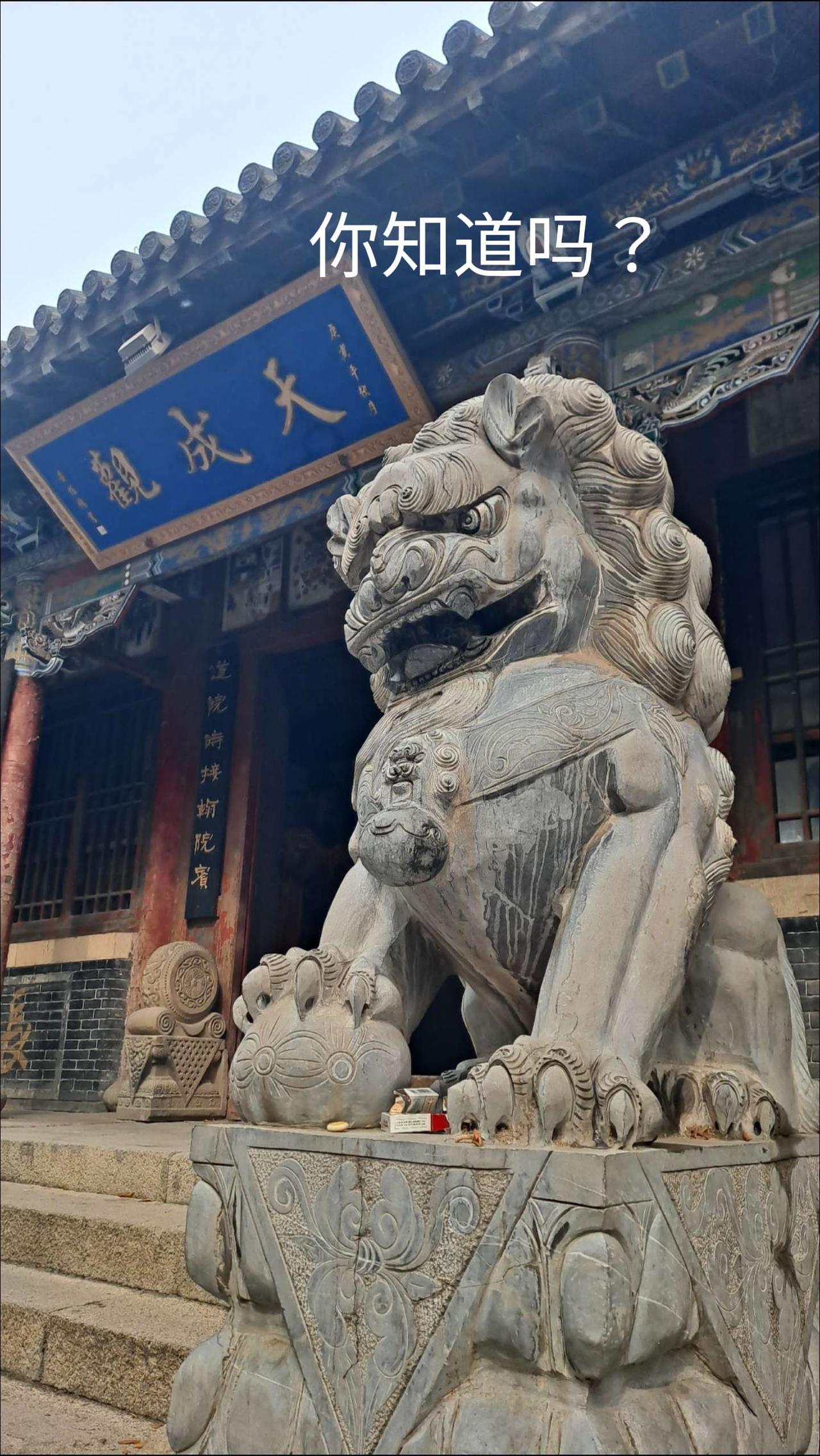 你知道吗？#朝阳头条