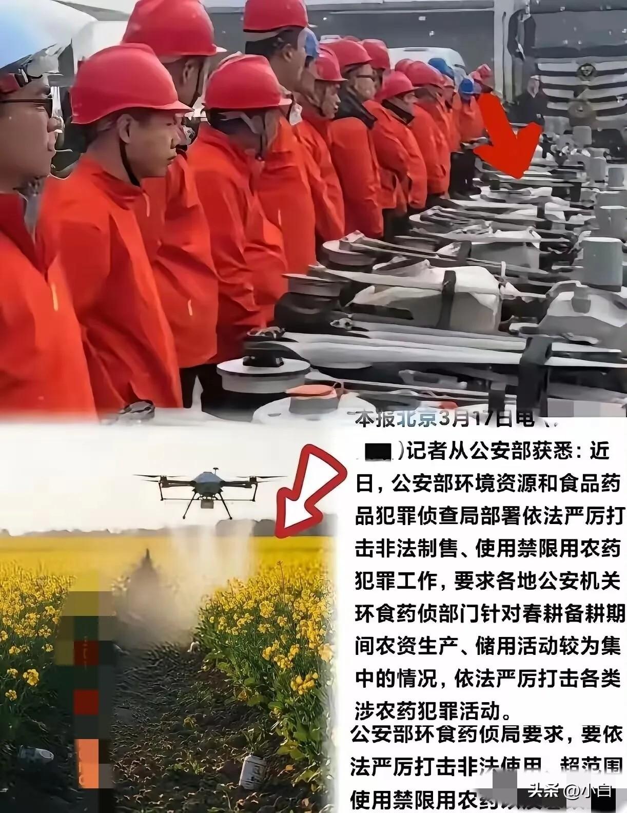 这次严查真是大快人心！有些人穿着红工服，操控无人机，专挑油菜花盛开的时候乱喷农药
