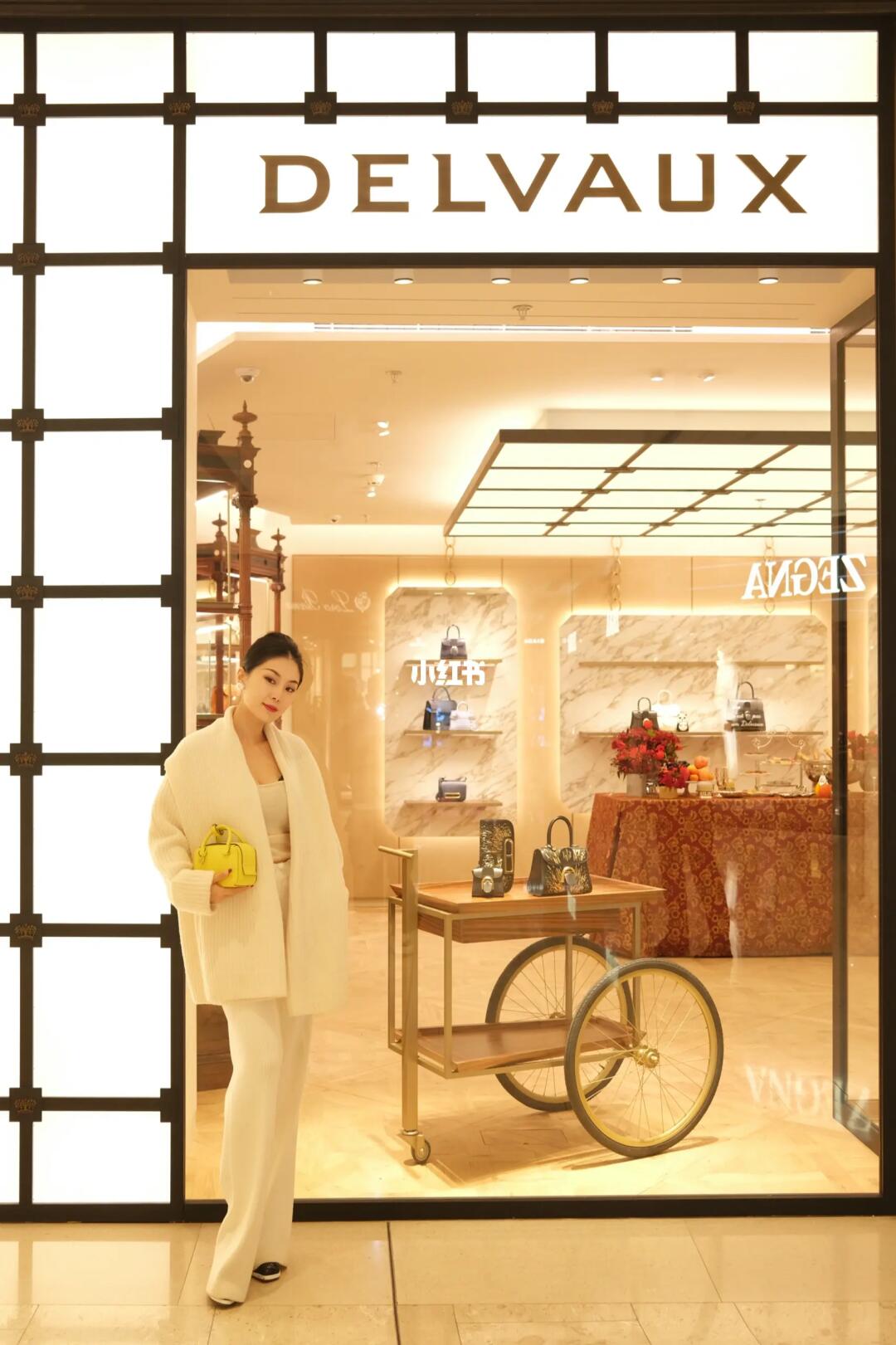 捕获一只Delvaux小可爱🍋