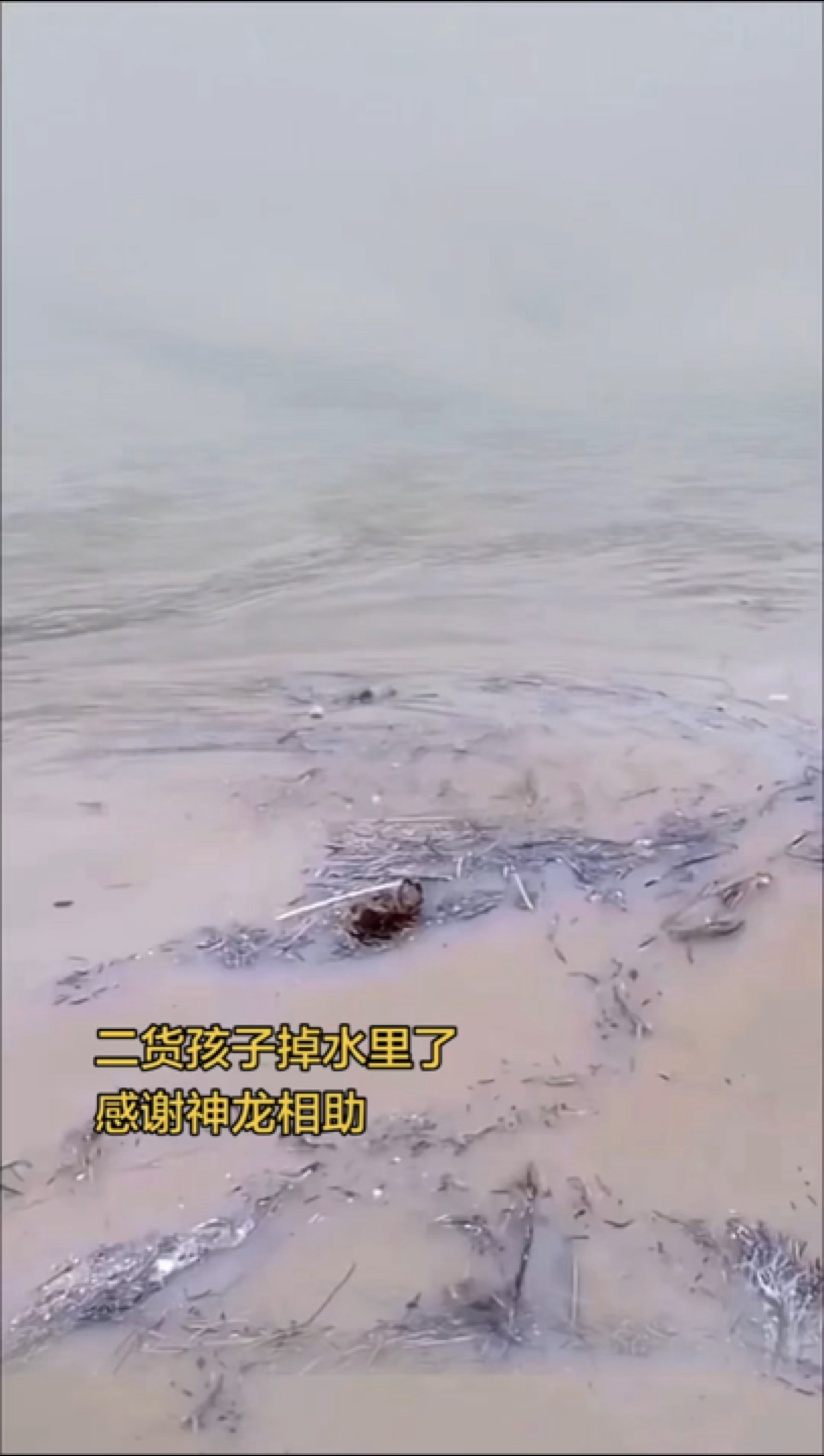 牛叉 