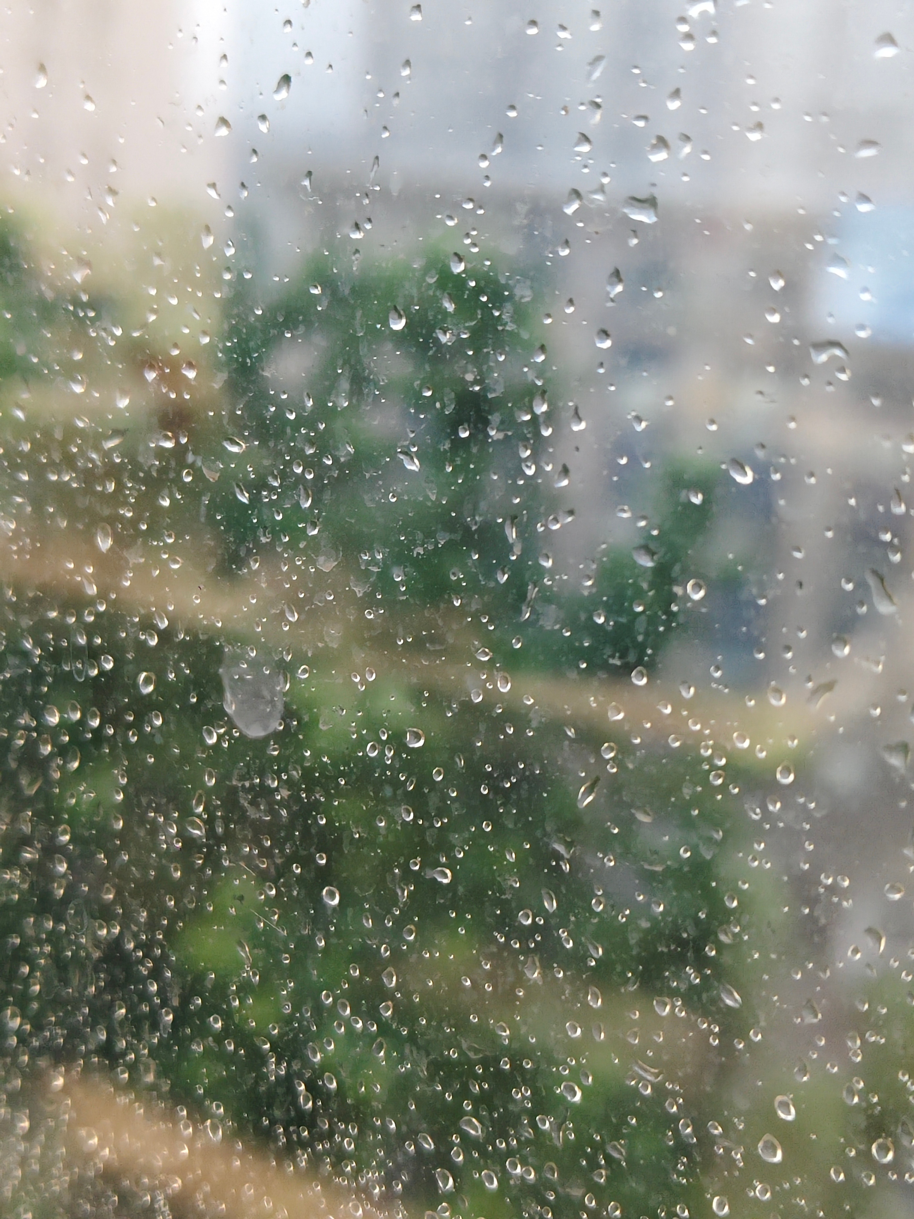 笑鼠，今天没有晚上下雨了，现在哭着呢🌧️ 烟雨朦朦大雾弥漫 这天气好适合睡觉啊