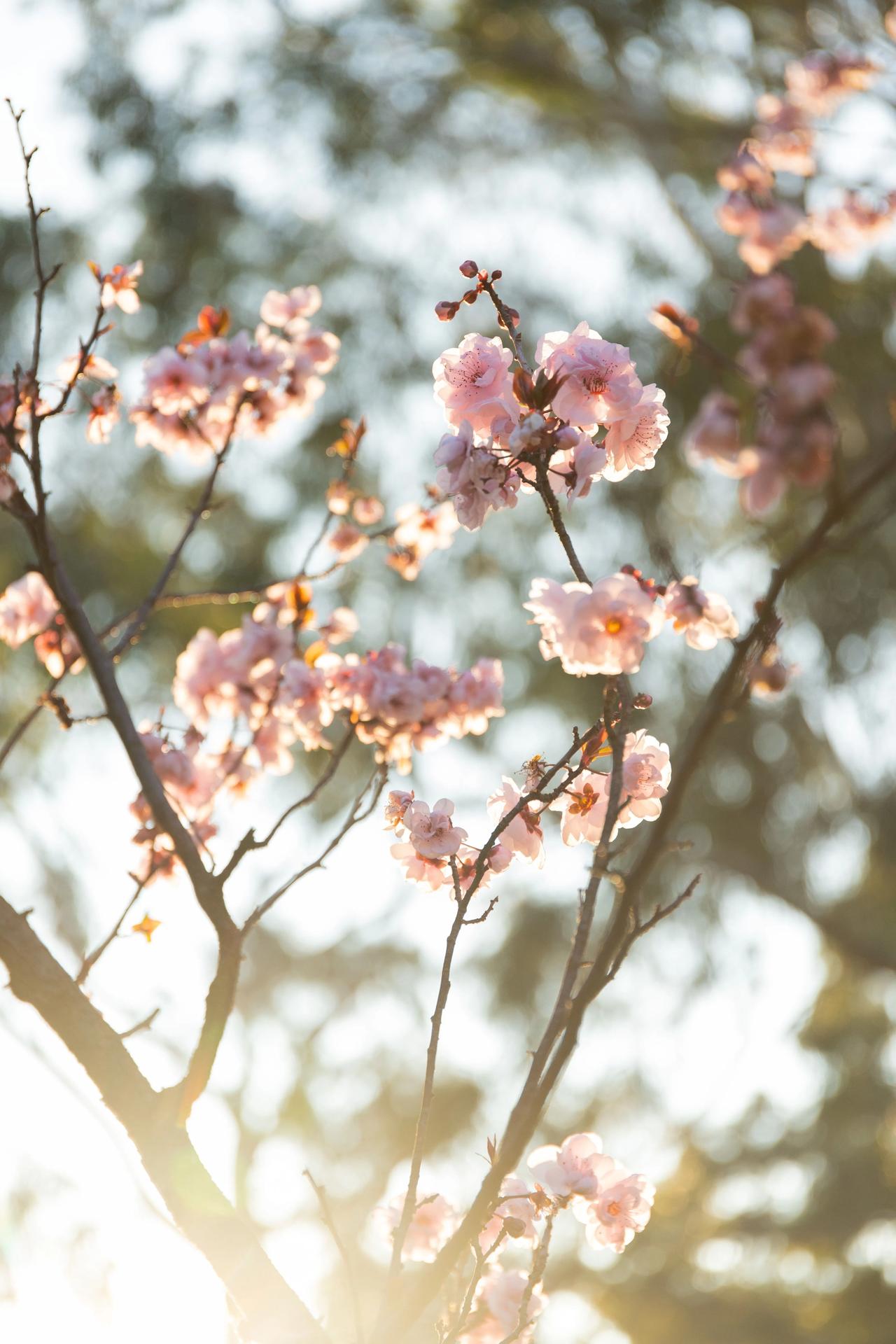 讲一个哲学问题，温度的事情，温度可以衡量我们健康的问题。如果一个人体温高点，就很
