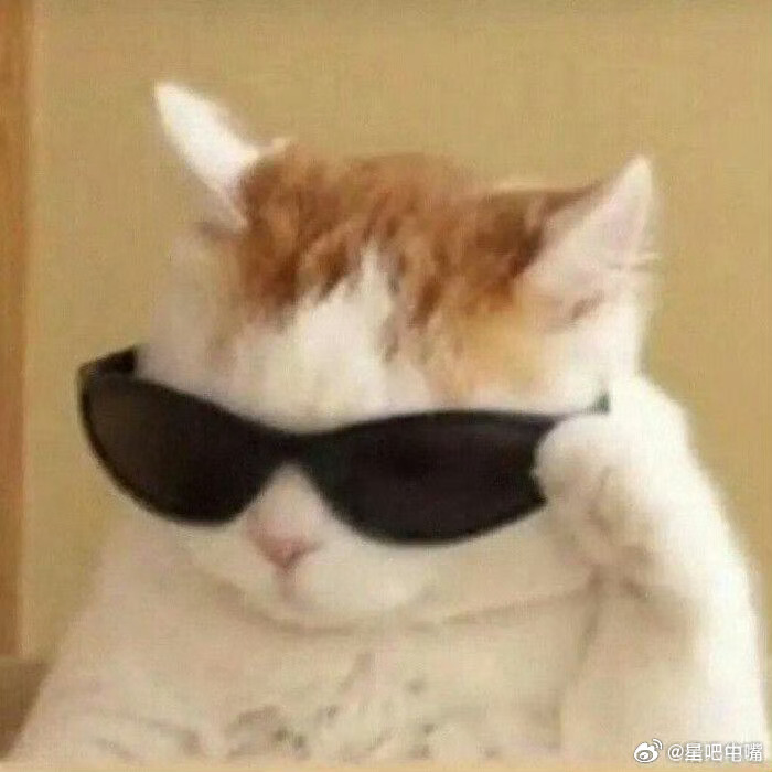 白玉兰如果不想要公信力了！那么它只需要把奖给哪部剧？本嘴提名给《xxxx》 ，这