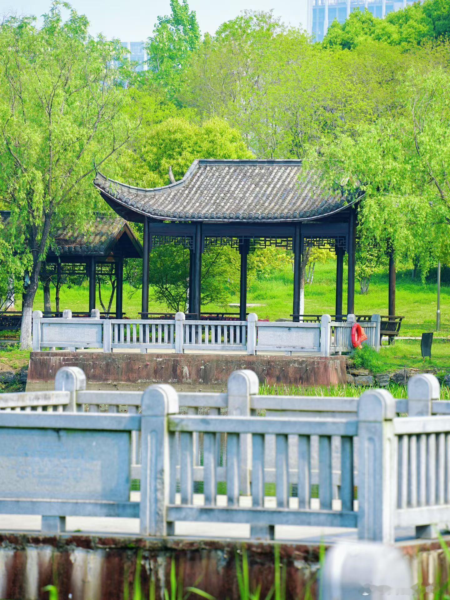 合肥新站小众美景合肥周末漫游｜陶冲湖公园，湖风拂面，绿意满园，一步一景，安静又出