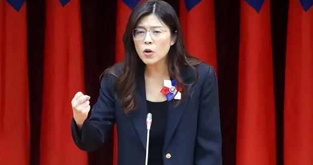 蔡正元露出真面目后，大陆官媒一句话给他定性，郑丽文再得强援。11月8日，台湾50