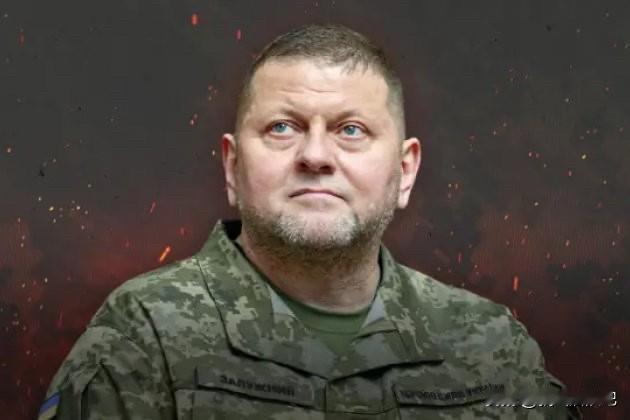 乌克兰武装部队前总司令扎卢日内表示，部队的撤退行动如果以保存官兵生命为目的，并且