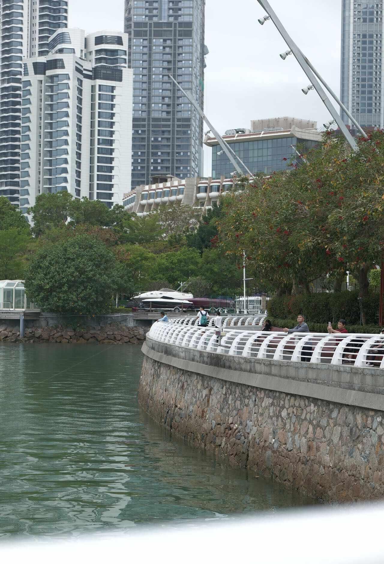 住恐龙房逛山海｜蛇口自然探索路线
住了南山伊敦的恐龙主题房，干脆安排了条"自然探