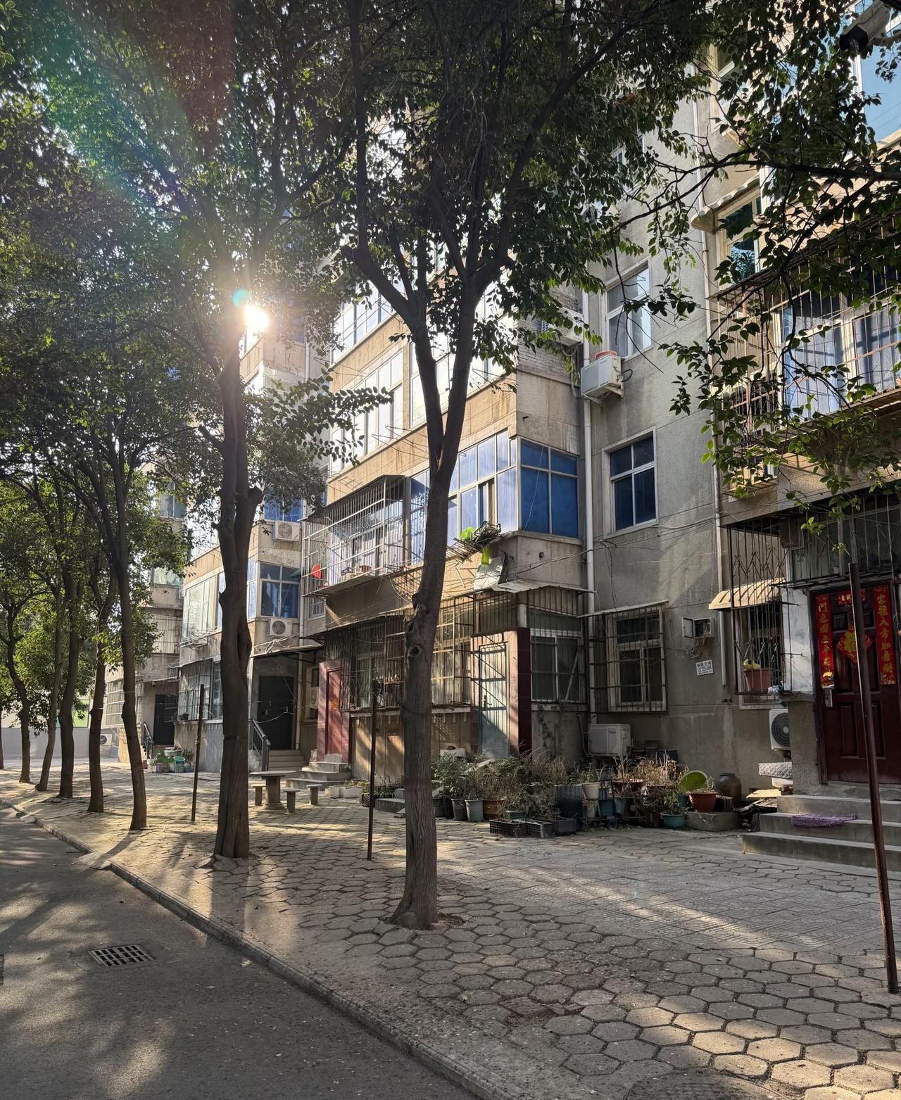 来自山东的小两口定居天津河北区，
平淡的生活随着丈夫下岗彻底改变。
巨大的生活压