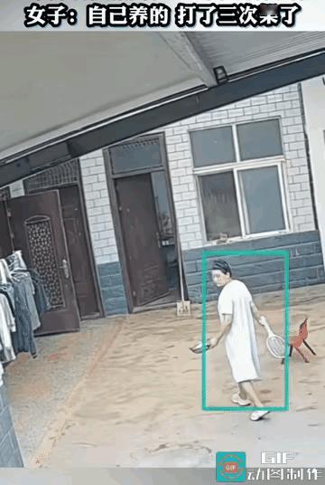 女子拿着羽毛球拍提着一个桶，去喂兔子的时候，雄兔子却逮着她就咬，看样子她们之间应