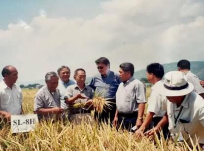 “应该立即执行死刑。”央视新闻在4月14日曝光了一起惊天大案：我国杂交水稻之父袁