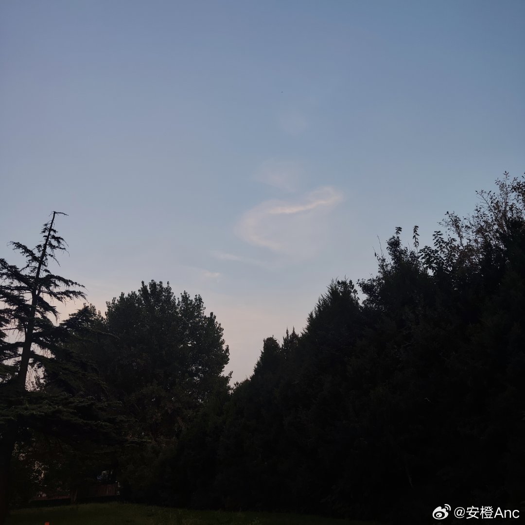 飞龙在天…… ​​​