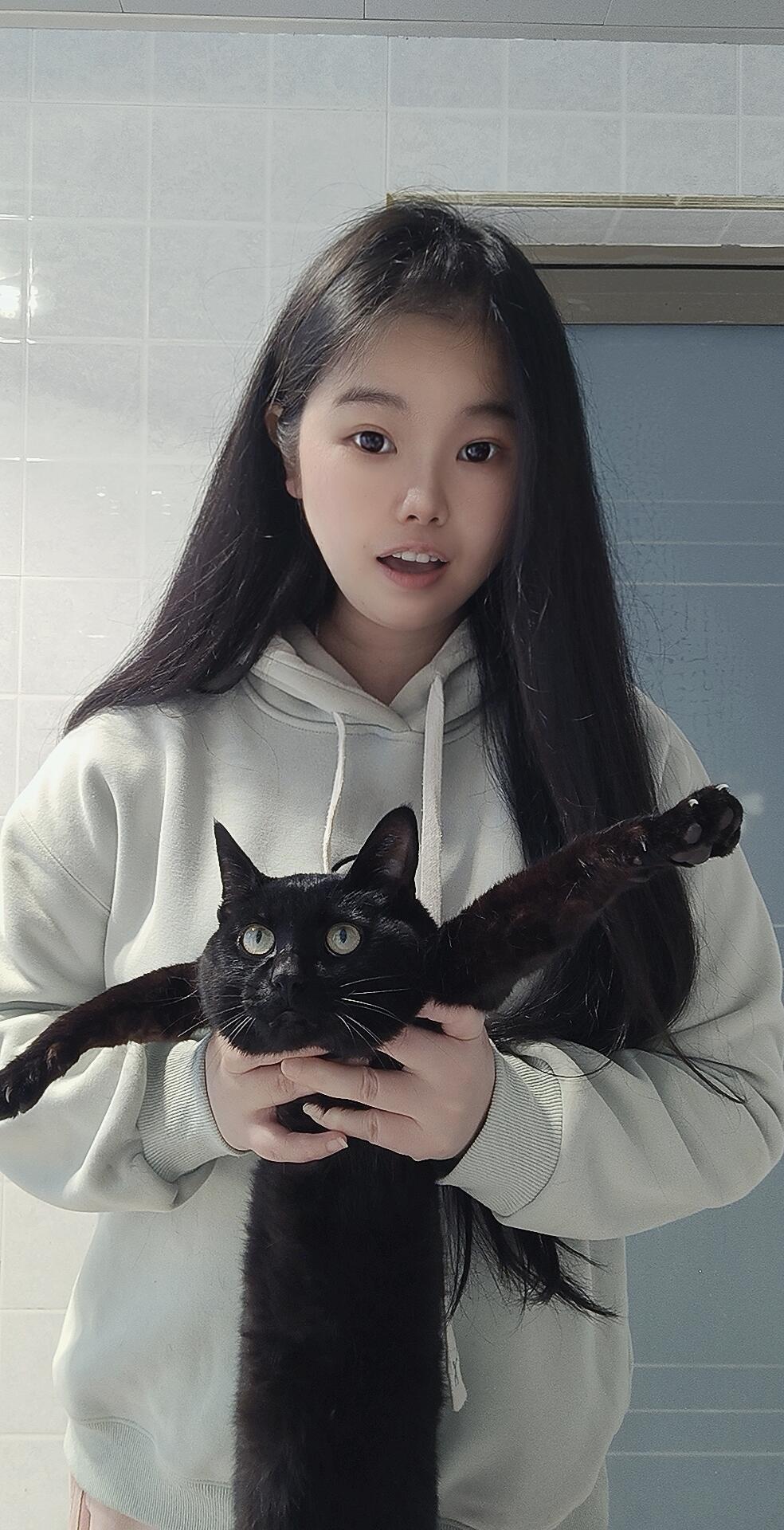 不打游戏的时候就会霍霍我的猫