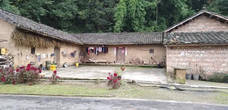 10月15日山东菏泽，老人去世遇大雨无法在户外办丧宴，临时借用闲置猪圈摆席，村民