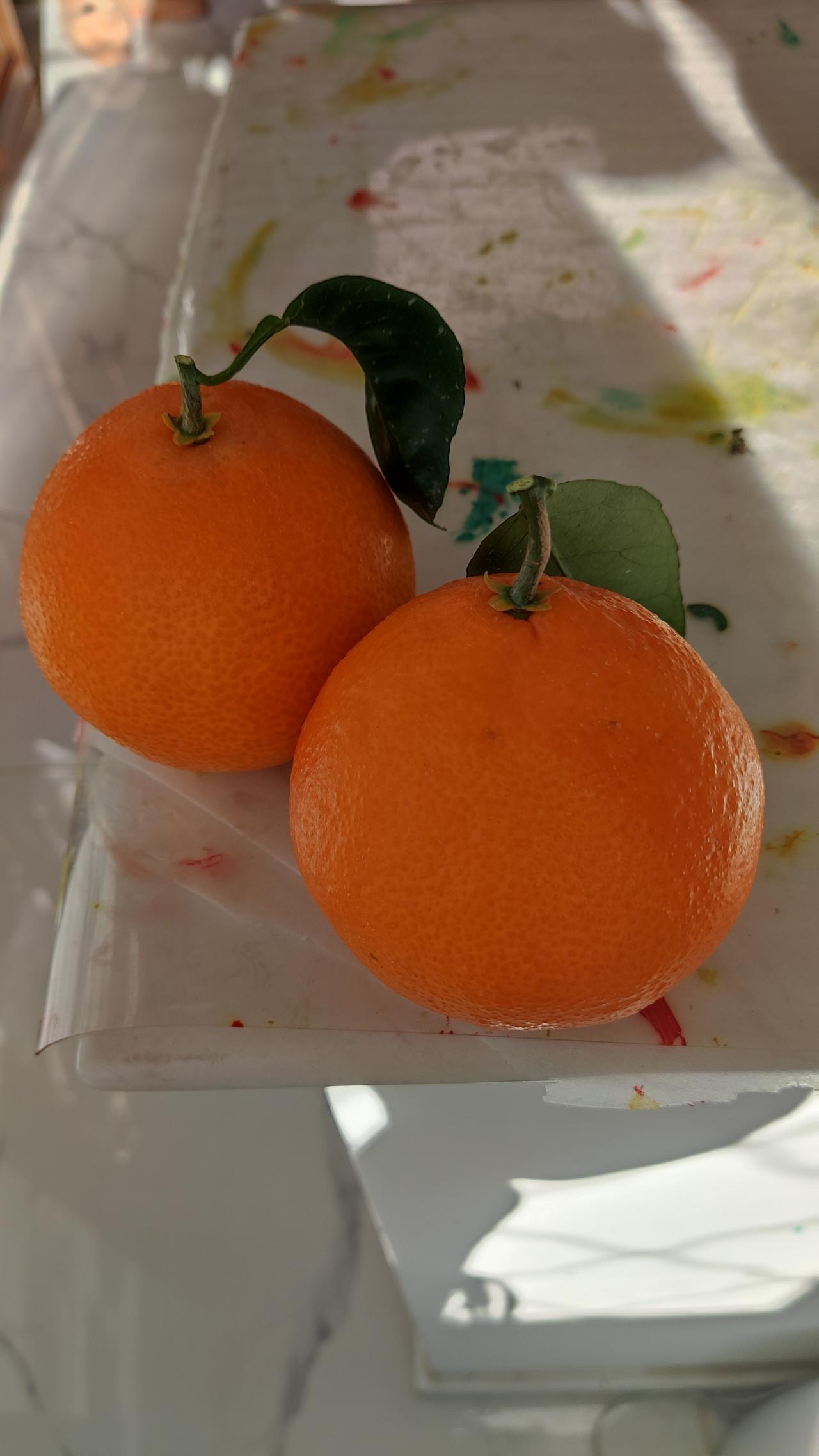 晒图笔记大赛漂亮，好吃