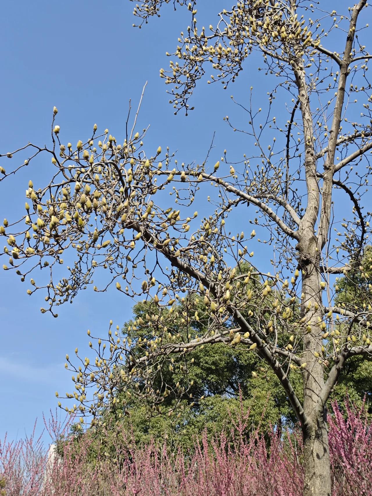 今天我看到疫情那段时间拍的视频，全部都是记录当时的一些事情和心情，和生活的状况，