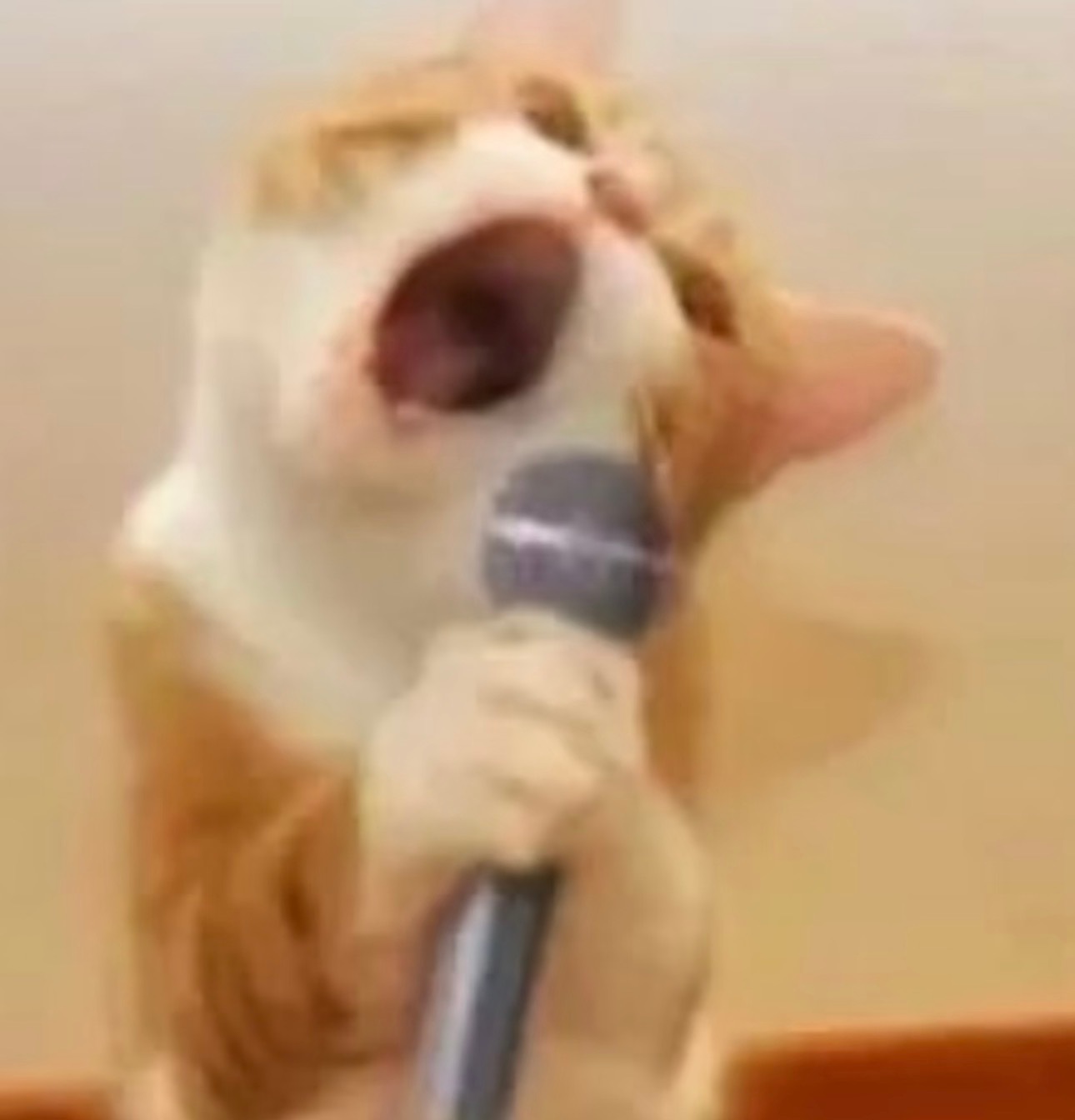 云楞喔泽亚桑把给风中哦贼由！ 