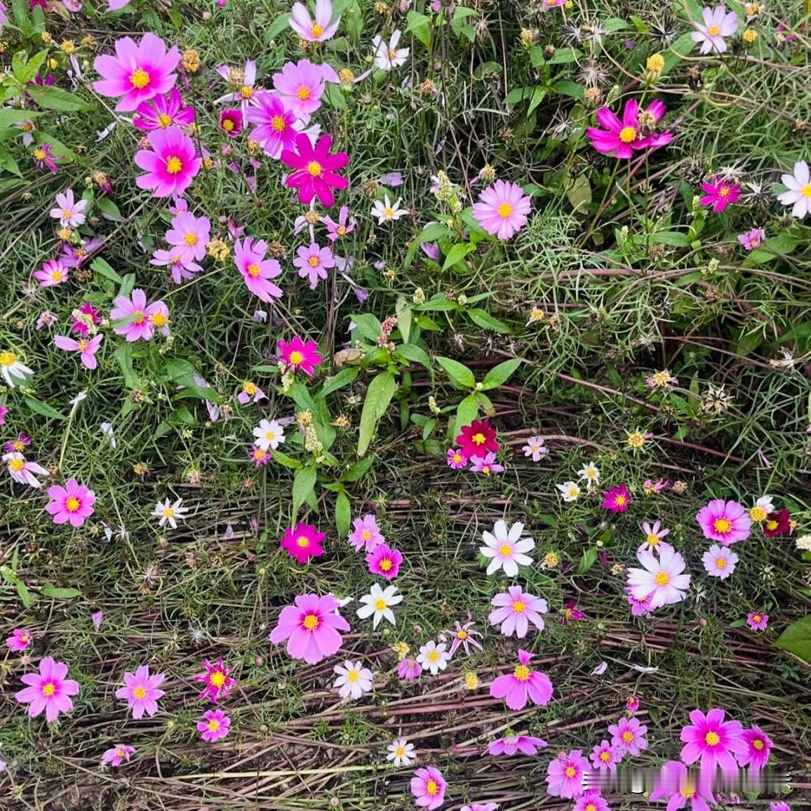 人到老了，最可悲的就是，高估了自己在别人心里的位置。

以前总说养儿能防老，你辛