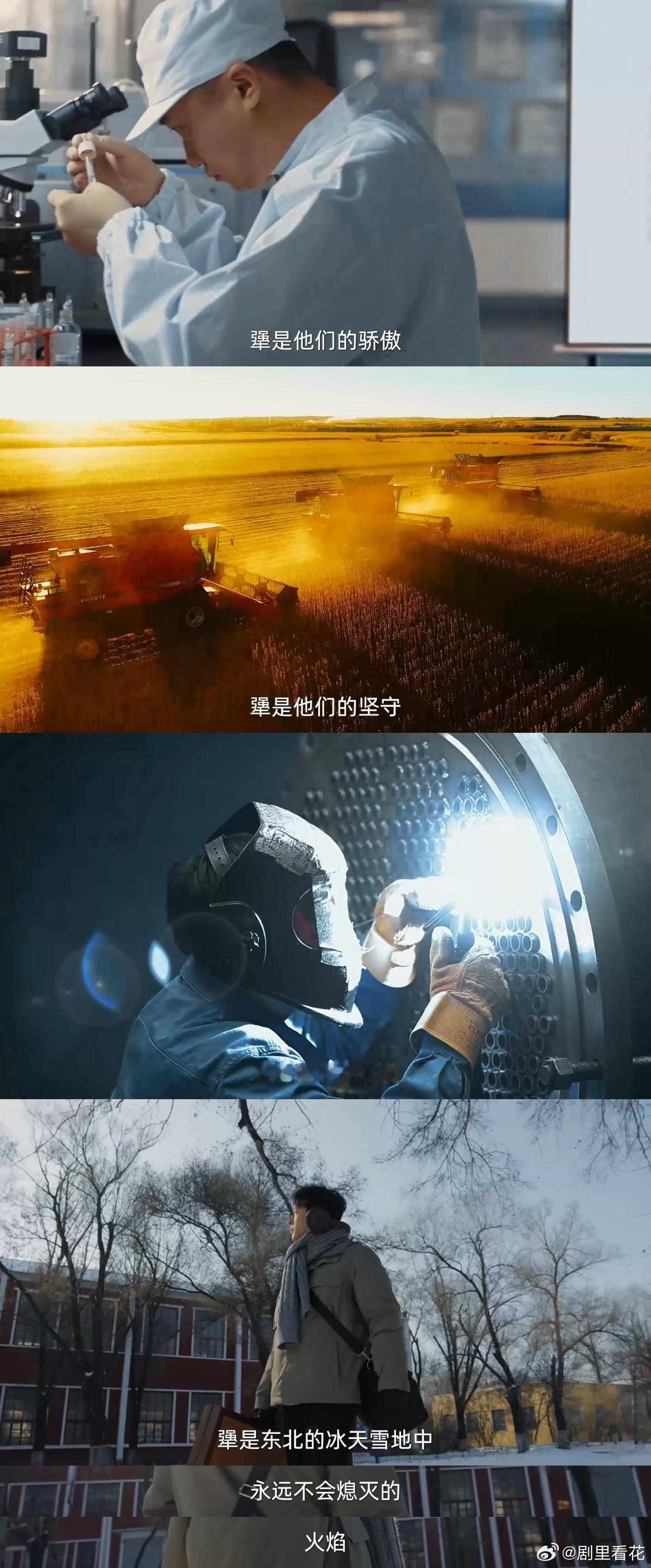 在东北我们把一件事做到极致叫犟 《将去哪儿了》中，东北“犟”是极致较真！张晚意演