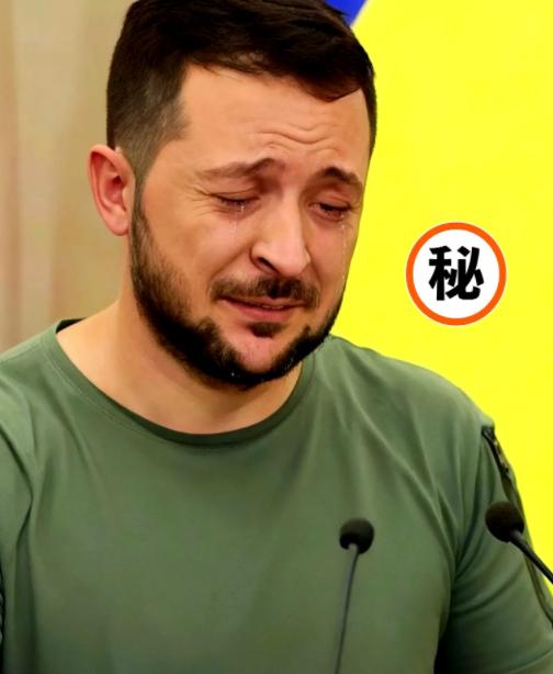 乌克兰冤不冤！四年多浴血拼杀，硬生生拖垮了俄罗斯的战争潜力，替美西方扛下了所有正