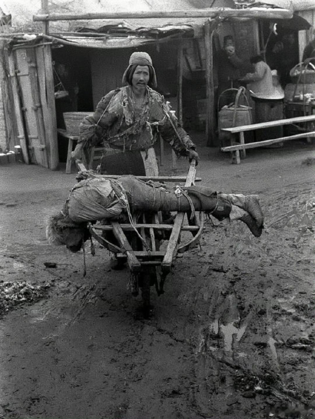 老人推着自己饿死的孩子1942年，河南大饥荒 ​​​
