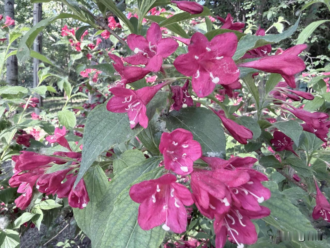 生活感悟：平凡的日子里，也有小温暖。

我们普通人的生活大多是平淡的，没有太多惊