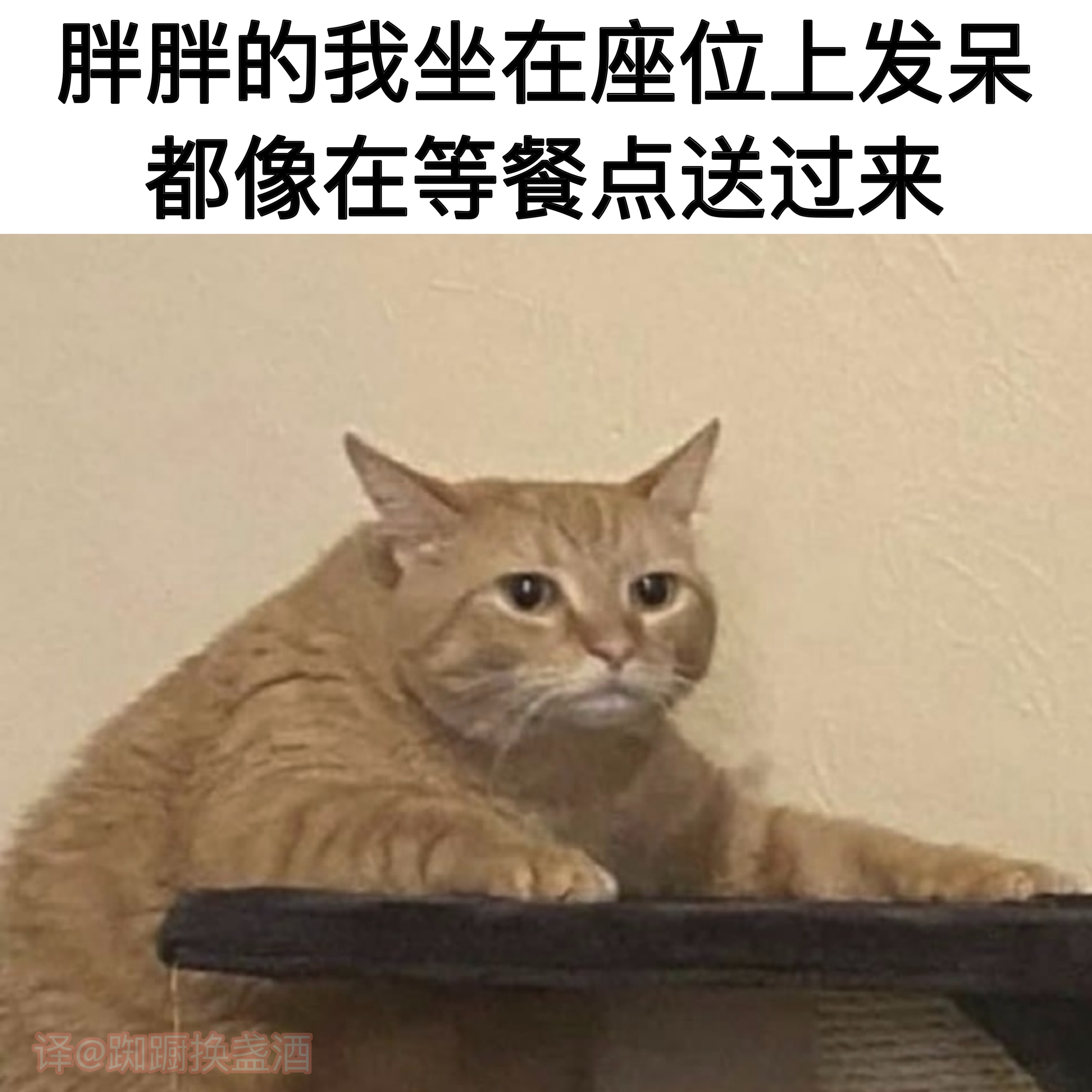 立誓减肥#meme# ​​​