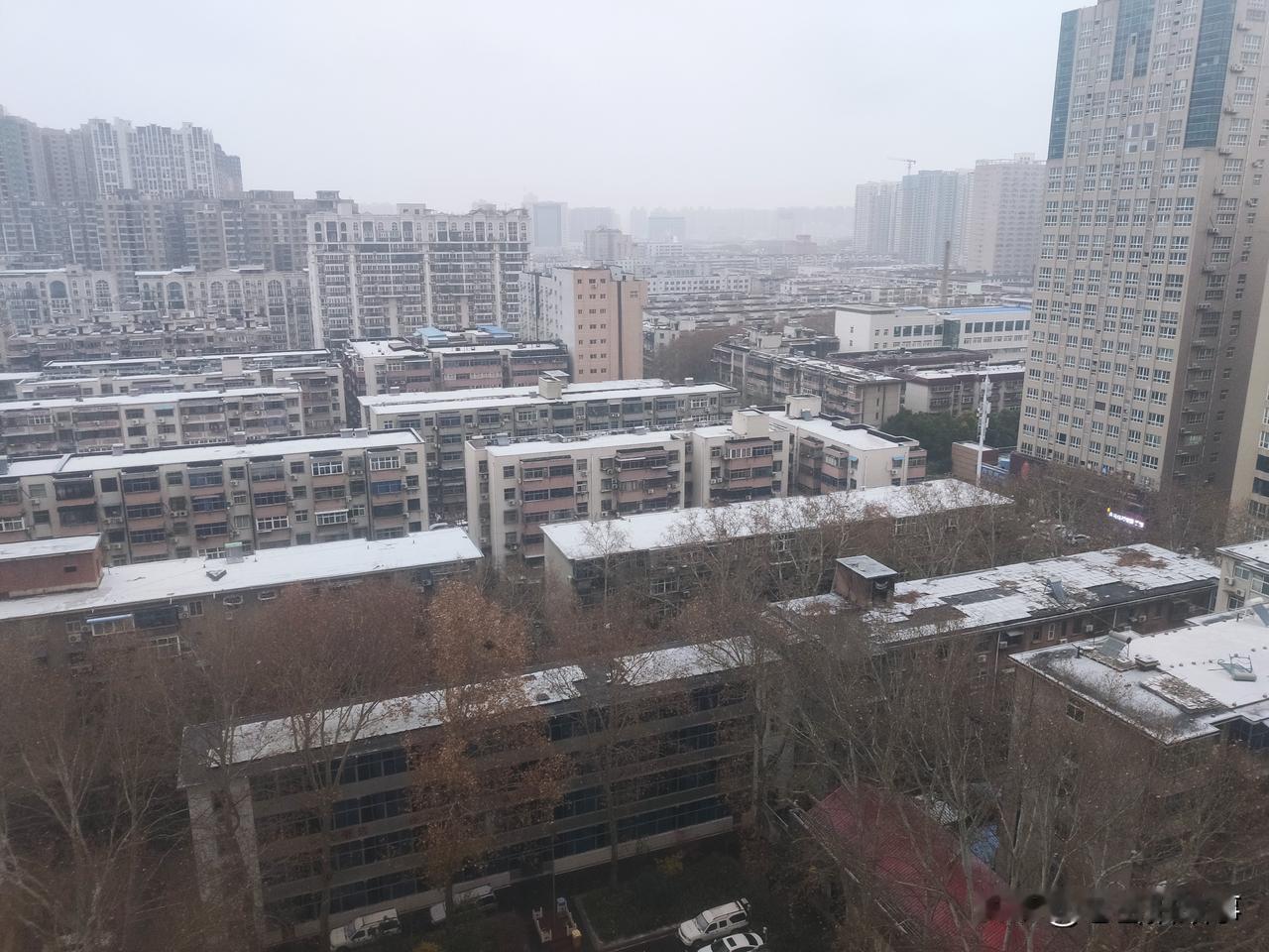 郑州的这场降雪已经如期而至！早晨七点多，颗粒雪伴随着阵阵寒风开始洋洋洒洒的飘落下