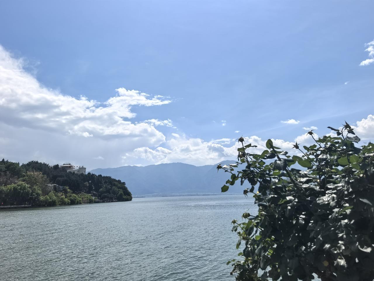夏日，洱海盛着满湖的热烈与清亮。阳光直直砸进水底，水草摇曳如绿绸。三三两两的皮划