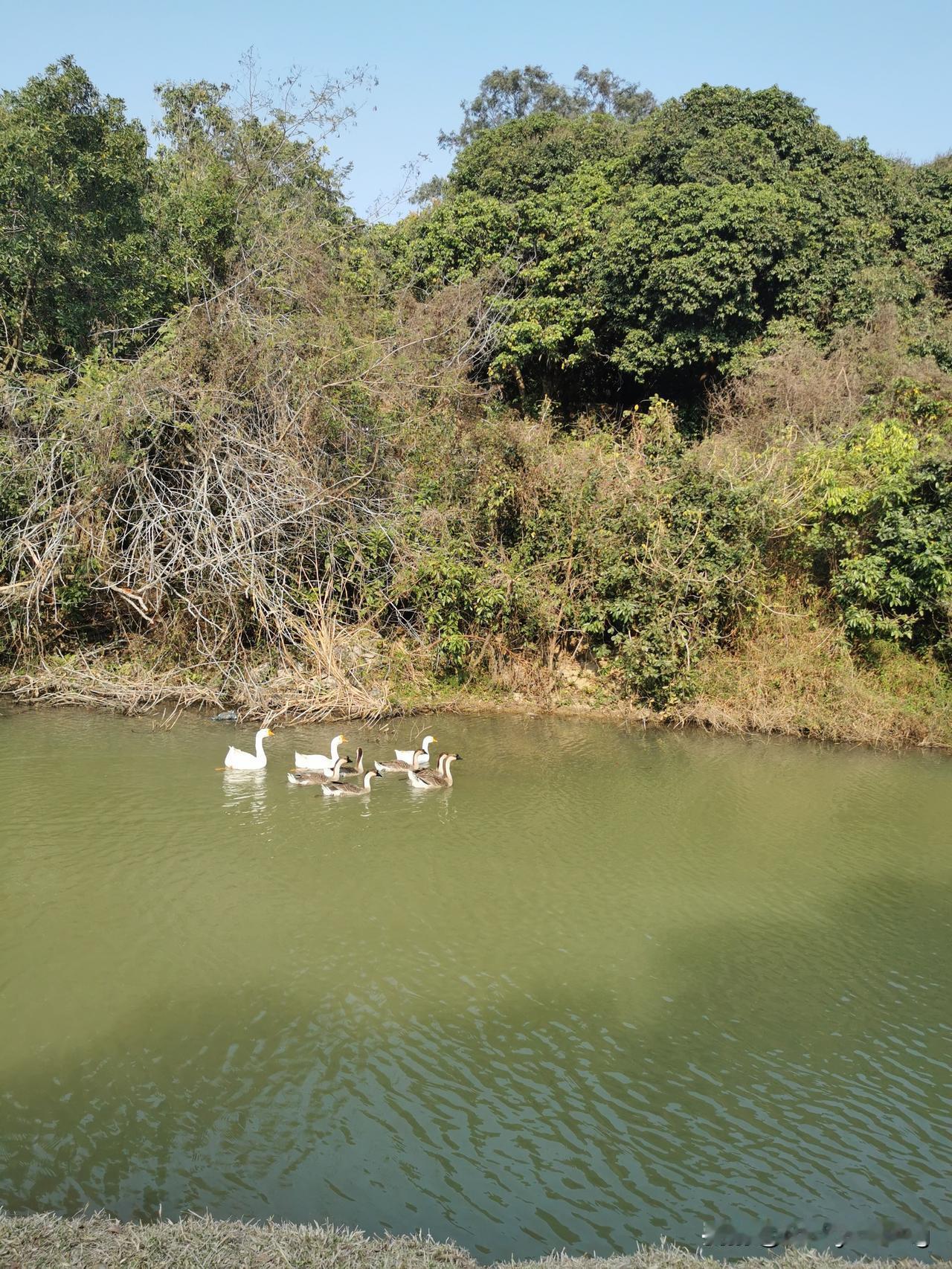 晒出我的相册里的大自然