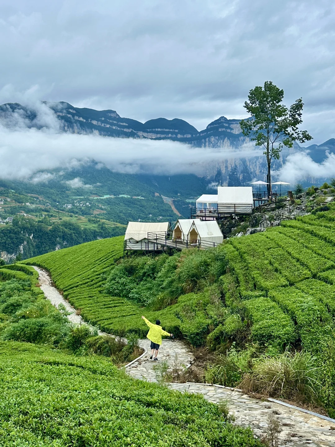 恩施旅游 | 刷爆朋友圈的仙境，美到失语