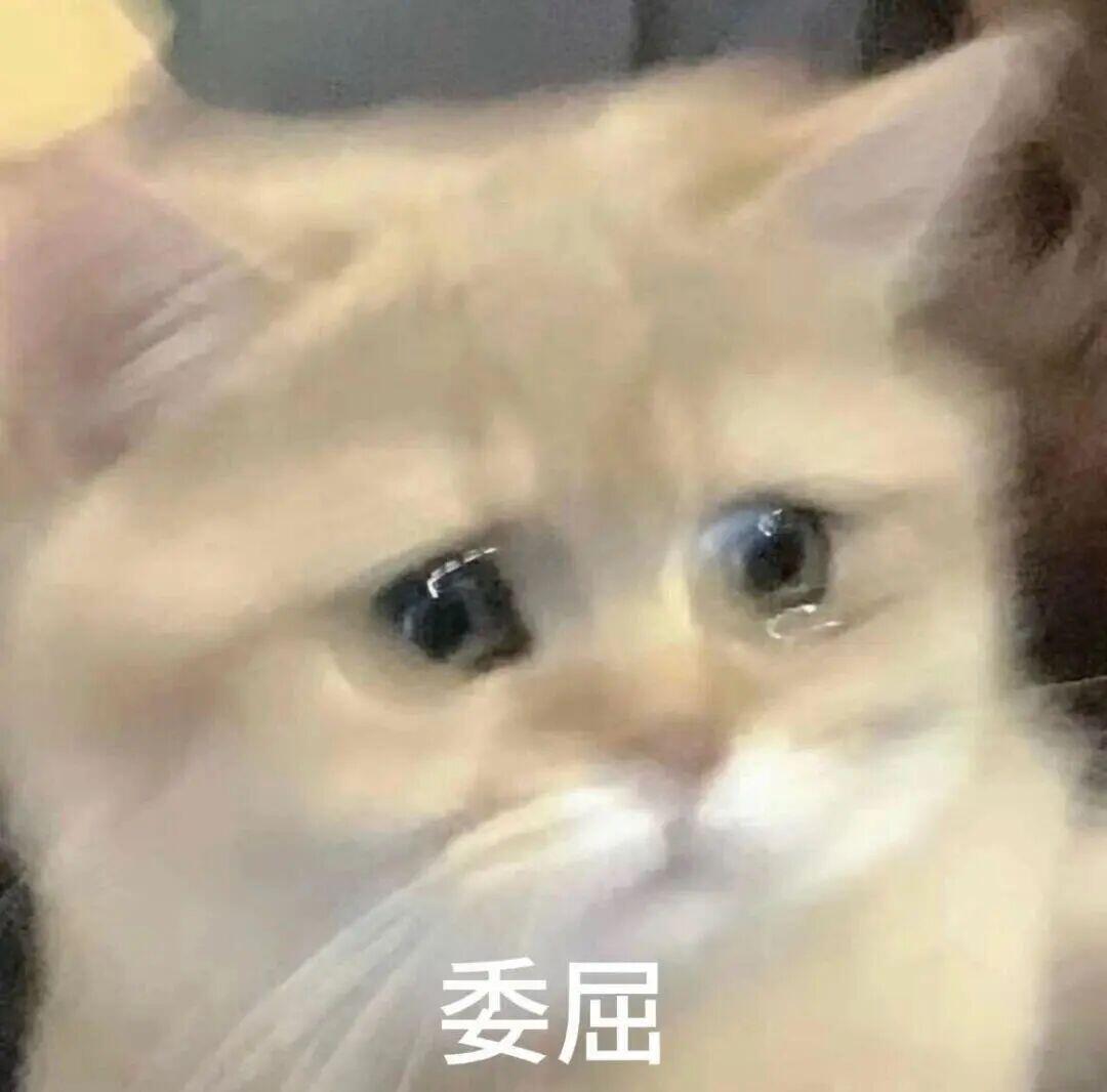 又要开始戒断了，熬啊熬……熬到26号……想霄霄，我的霄霄