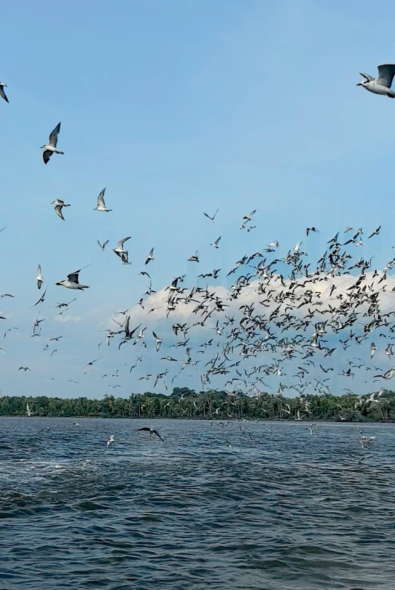 这大概是“距离产生美”在作祟。自己老婆天天在身边，缺点优点全暴露，柴米油盐中那些