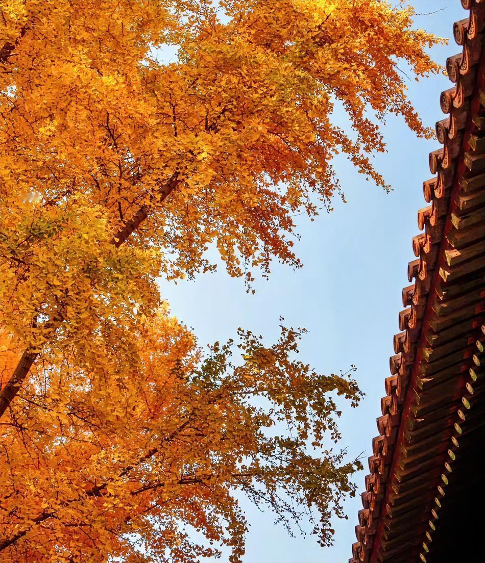 人得信～命运…，@刘亦菲。
东西南北中，命中不喜～南。这就是为什么从来不与平台上