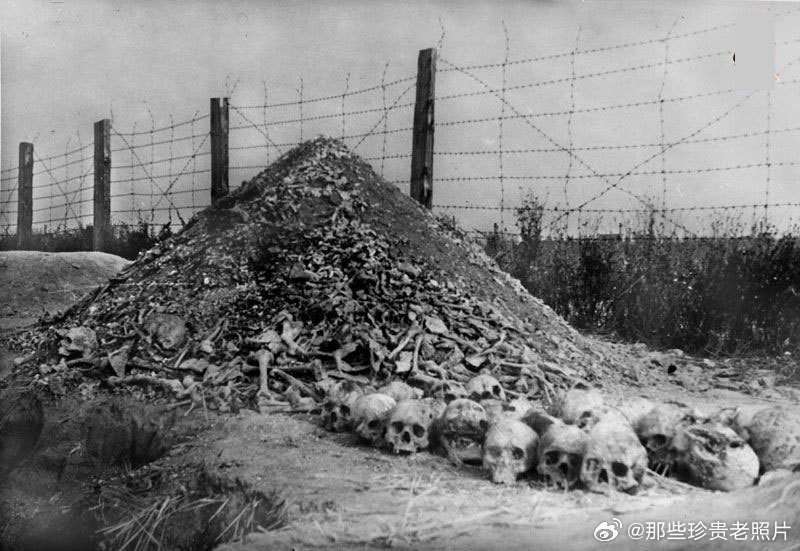 1944年，卢布林（波兰）附近马伊达内克集中营的遗骸。 