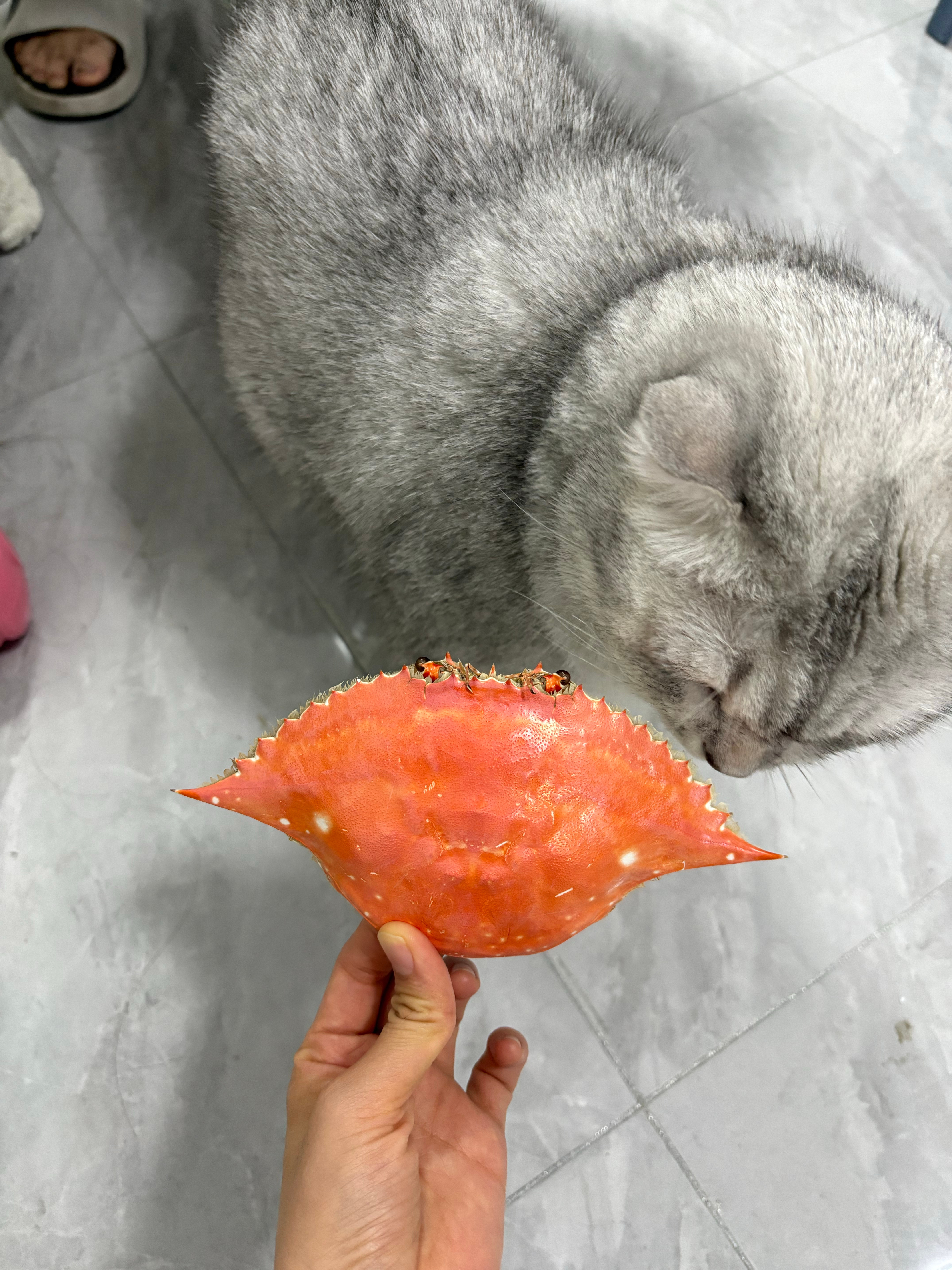 别的孩子有的我们都要 ​​​