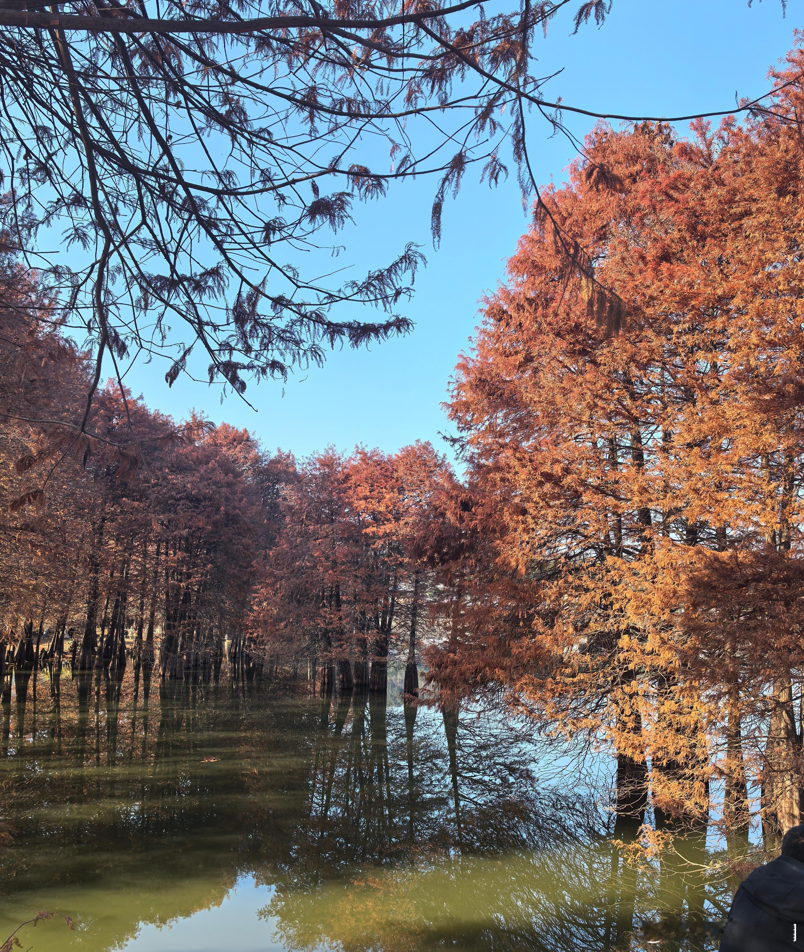 心里话           任何事情都不必急于求成。喜欢的事一点点去努力，一天天