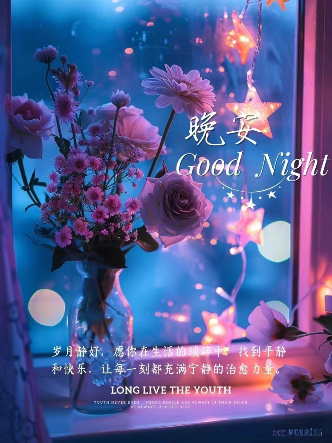 晚安 夜幕低垂，星星眨着眼。愿你白天笑声响亮，夜晚睡得安稳。人生最美不过如此，有