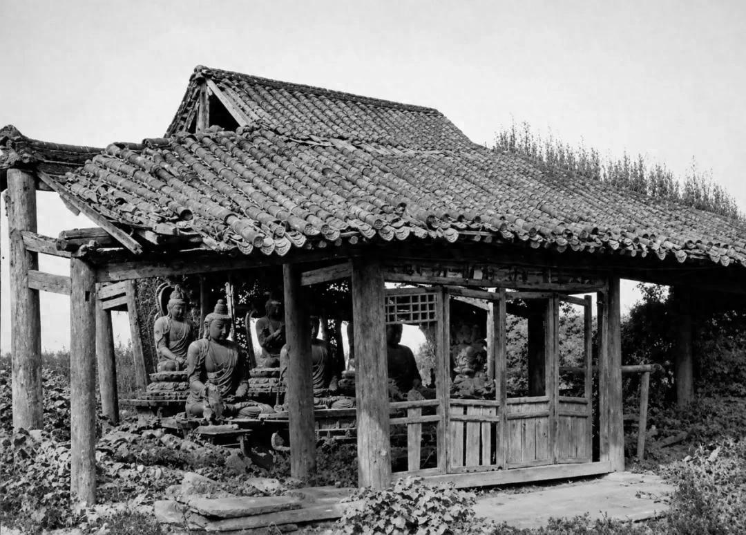 你敢信吗，100年前，一个美国的富家子弟，放着家里优渥的日子不过，跑到当时还动荡