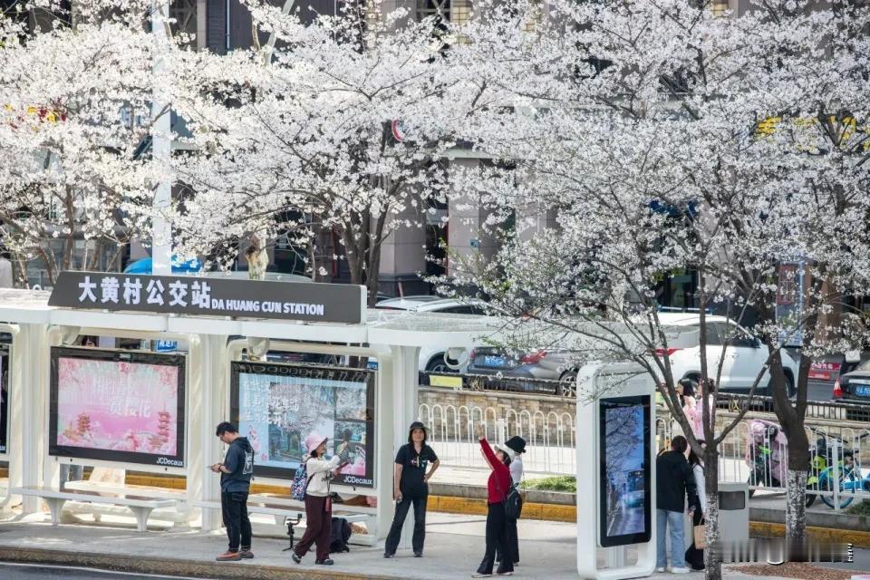 武汉奇招！坐公交竟可抵扣房贷，全国推广要过几道坎？

武汉最近搞了个大动作！推出