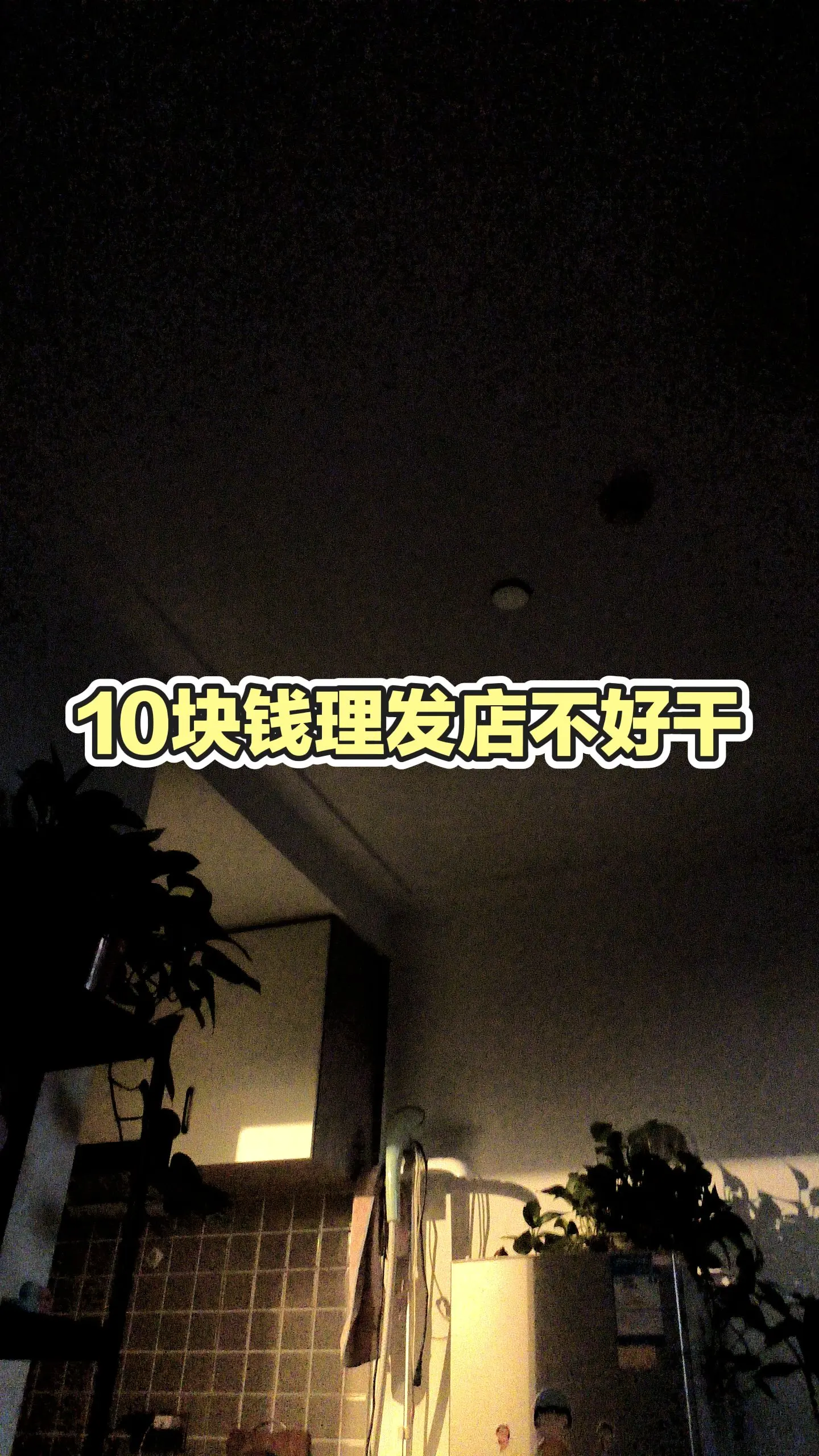 每日分享