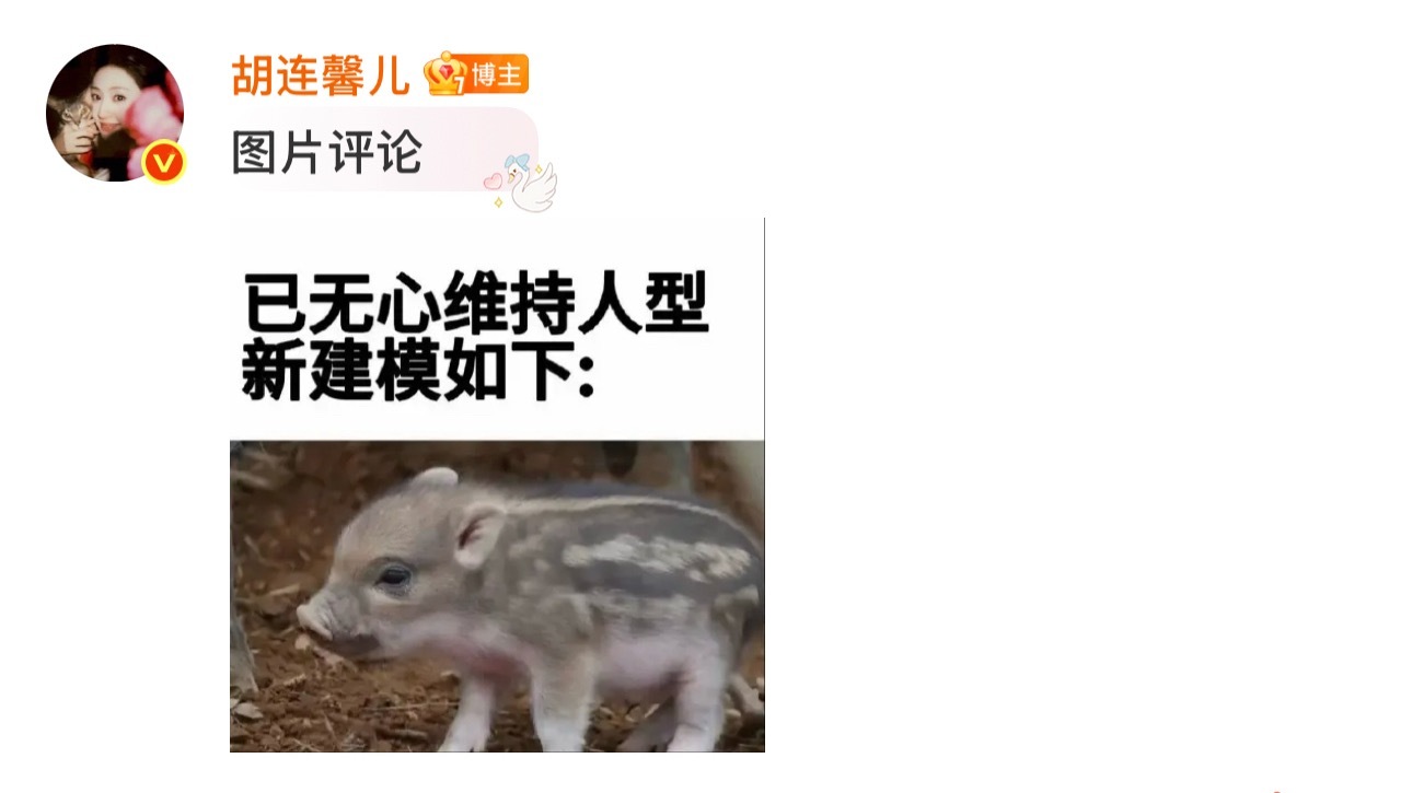 猪塑很好 