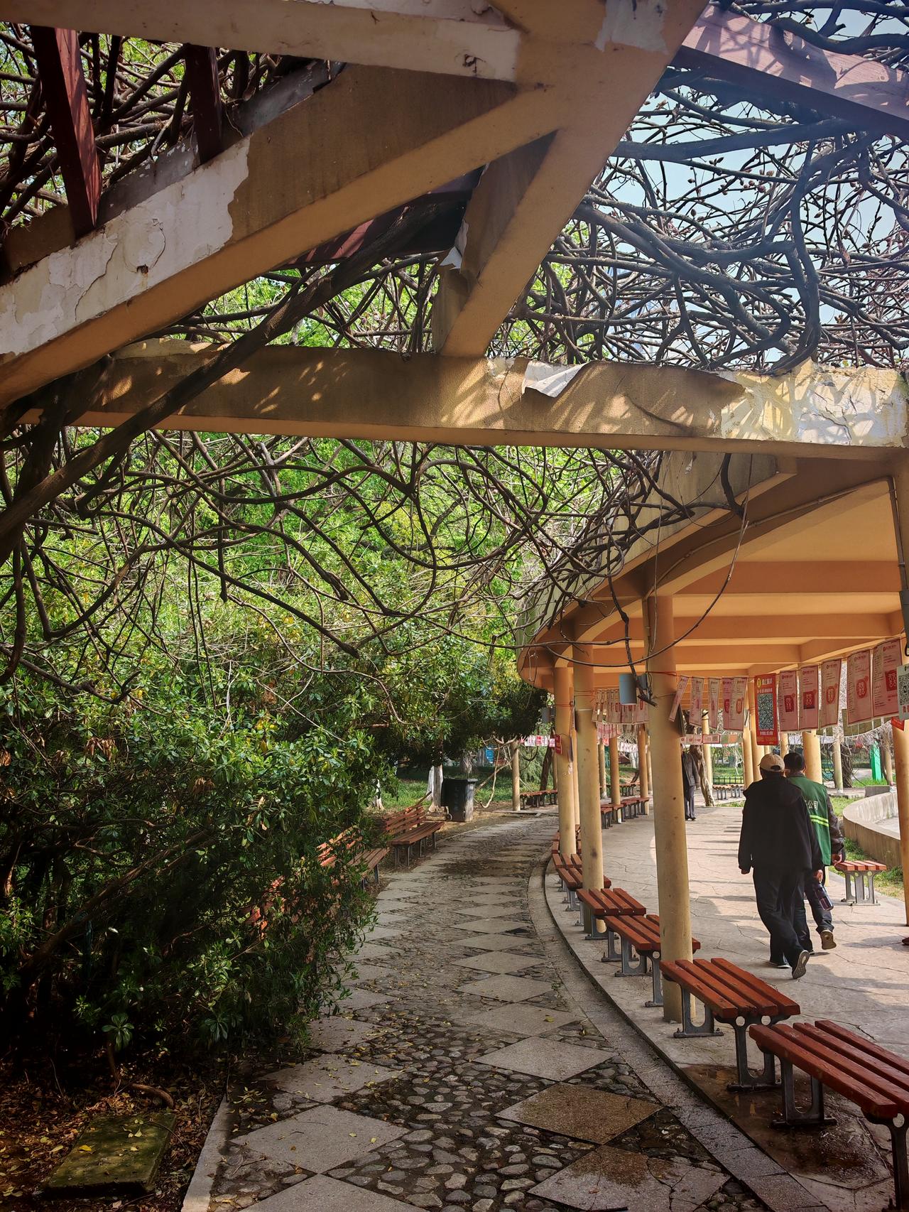 “紫气东来”这成语太有韵味了。它出自汉朝刘向《列仙传》，说老子西游时，函谷关守关