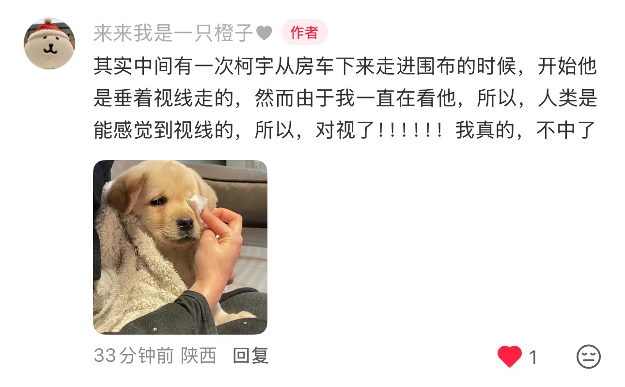 周柯宇周正 / 周柯宇小城春色 光看文字就感觉被苏到了